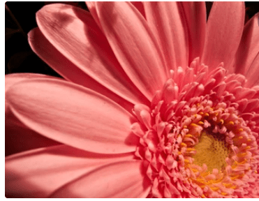 Our intention creates our reality.